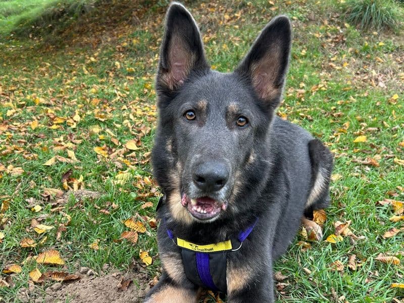Loki Boy photo 3