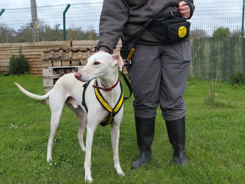 Bertie photo 2