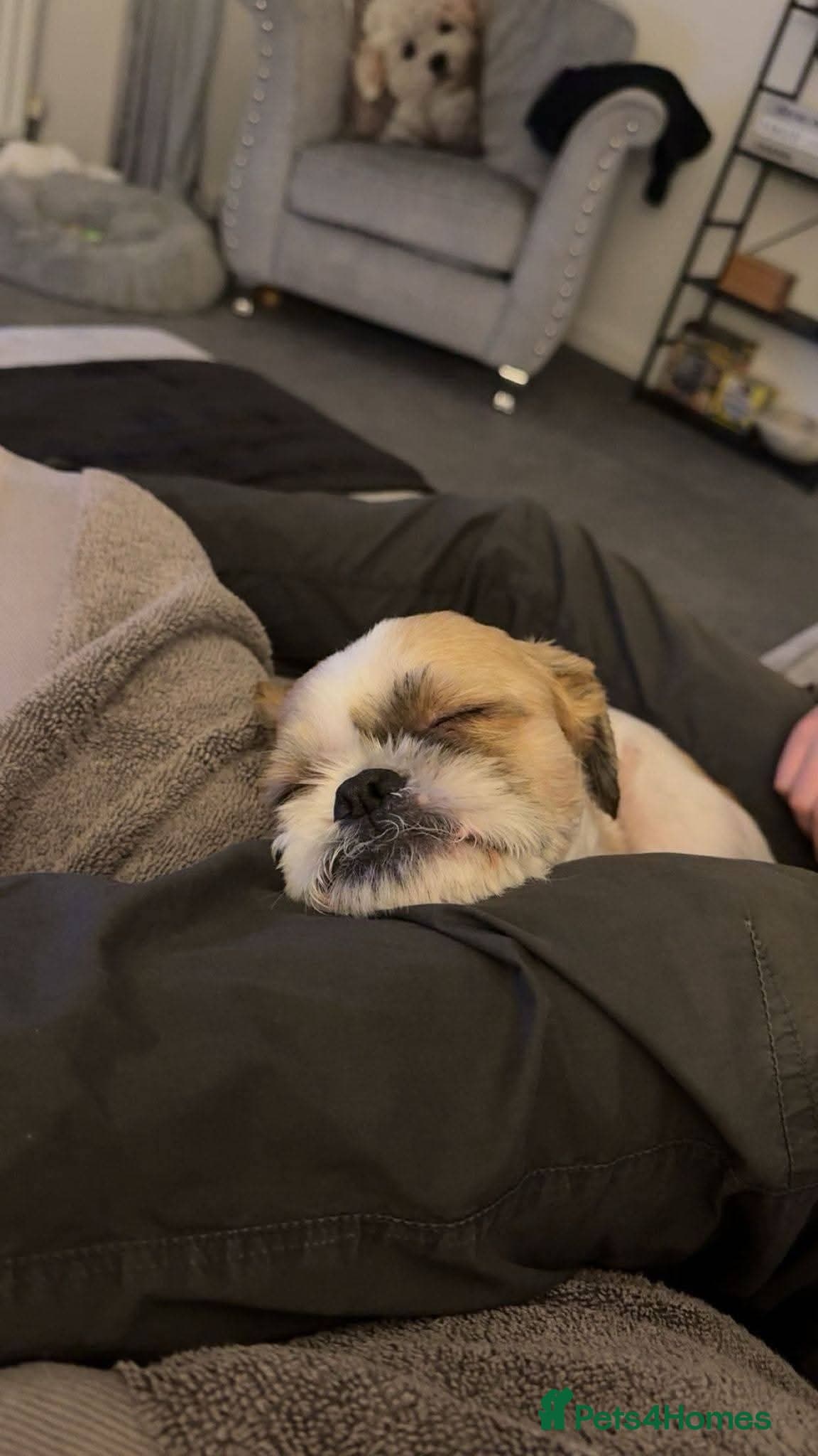 Ralph photo 15