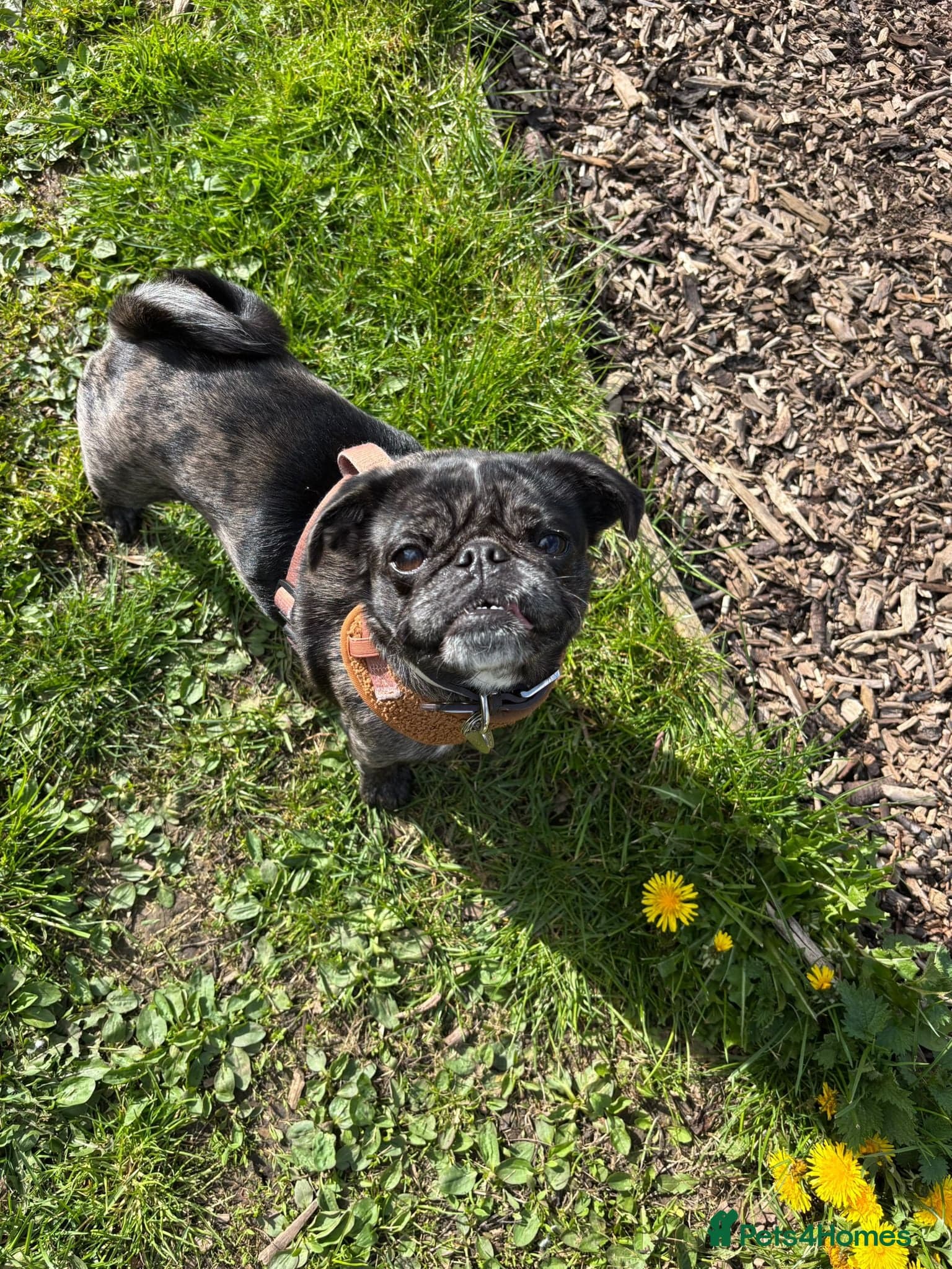 Coco photo 2