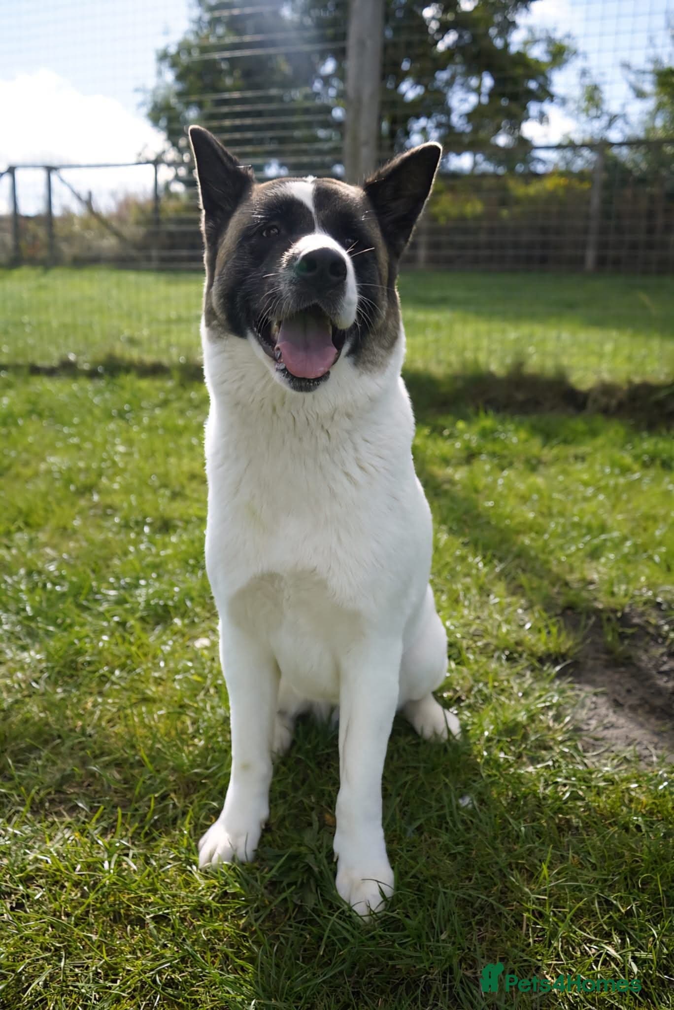 Freya photo 5