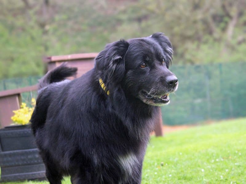 Max photo 4